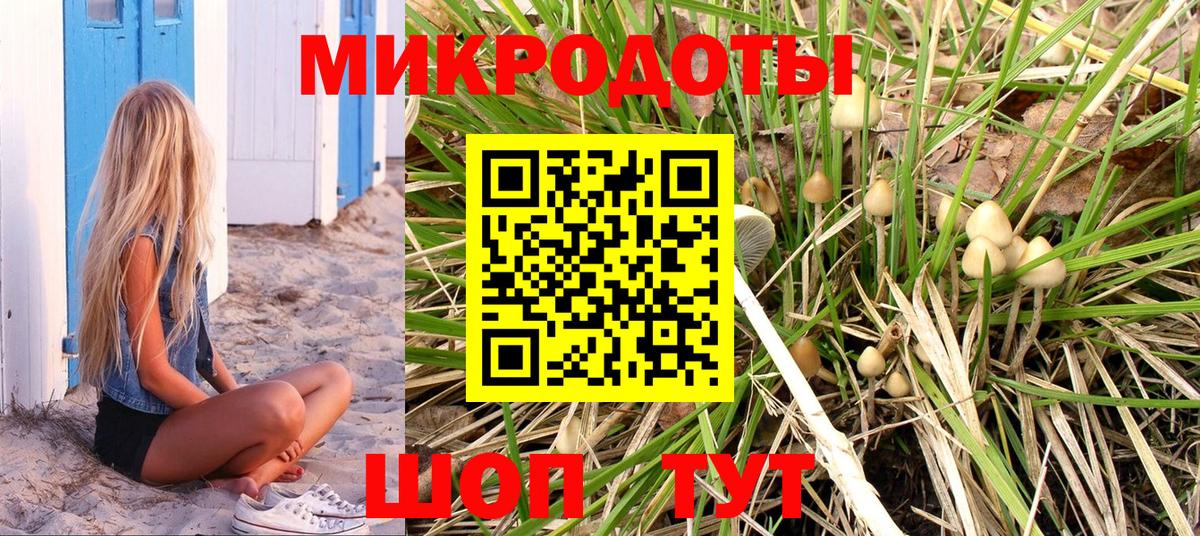Галлюциногенные грибы Magic Shrooms  Галлюциногенные грибы Psilocybe  купить   Вход с VPN  Соль-Илецк 